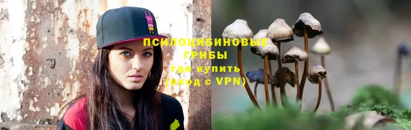 omg ССЫЛКА  где купить   Трубчевск  Галлюциногенные грибы Magic Shrooms 